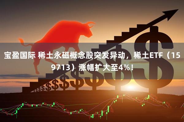 宝盈国际 稀土永磁概念股突发异动，稀土ETF（159713）涨幅扩大至4%！