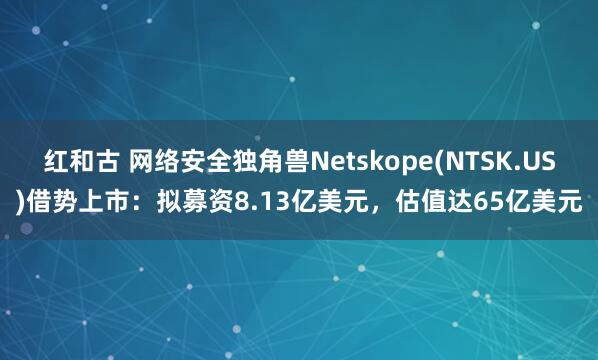 红和古 网络安全独角兽Netskope(NTSK.US)借势上市：拟募资8.13亿美元，估值达65亿美元