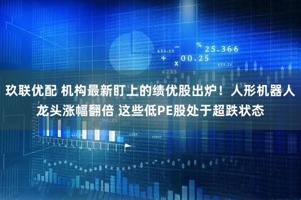 玖联优配 机构最新盯上的绩优股出炉！人形机器人龙头涨幅翻倍 这些低PE股处于超跌状态