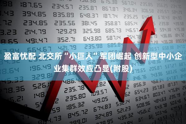 盈富忧配 北交所“小巨人”军团崛起 创新型中小企业集群效应凸显(附股)