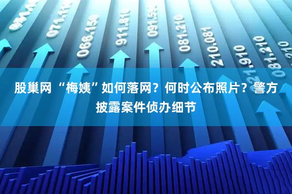 股巢网 “梅姨”如何落网?何时公布照片?警方披露案件侦办细节
